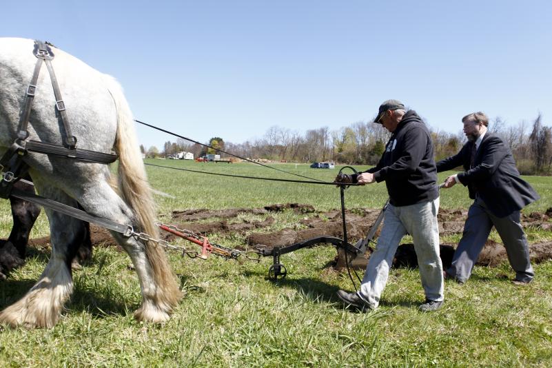 David Bradham, Business manager of Blue Star Equiculture, left, and Wesley R. Autio, Director of Stockbridge School of Agriculture use a horse-drawn hand plow, Thursday, during a groundbreaking at the site of the new UMass Agricultural Learning Center on N. Pleasant St. in Amherst.
