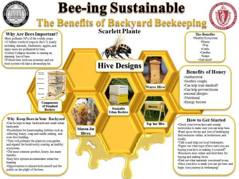 posterfinal-scarletet