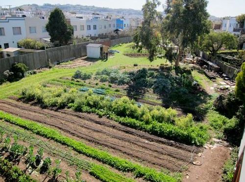 Proposed Law Could Deliver Major Boost to Urban Agriculture in California