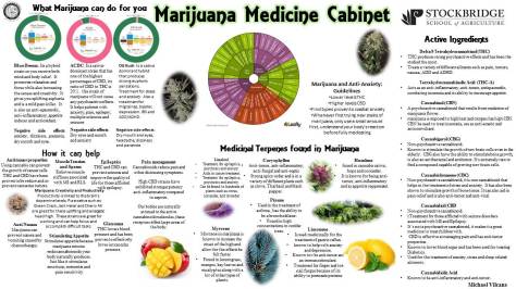 What Marijuana can do for you-3