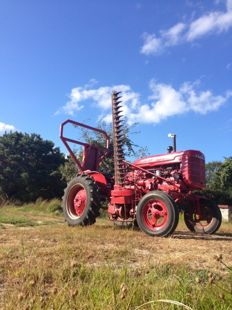 peterhanlontractor3