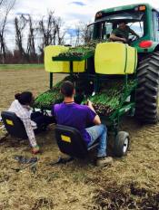 studentstransplanting