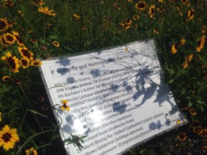 11721023_10102933152725312_77192501_o