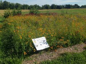 11747510_10102933153748262_892624253_o