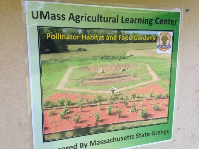 11750779_10102933155145462_1765256323_o