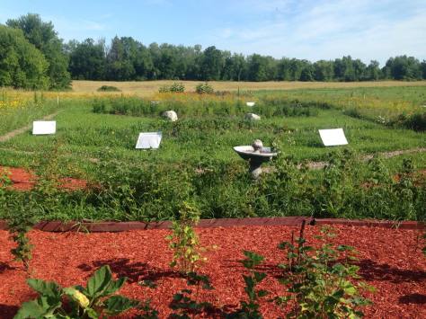 11751421_10102933154686382_313845893_o