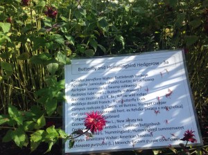 11770151_10102933152490782_1933702512_o