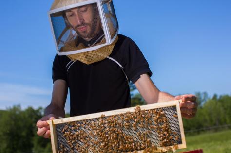 BEE4_INTERIOR-1540x1026