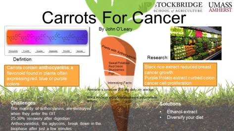 Final Carrots For Cancer PP