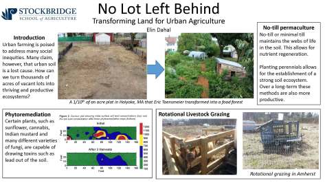 No Lot Left Behind - Elin Dahal (2)