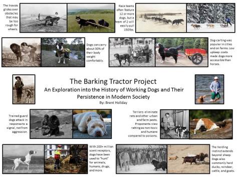 The Barking Tractor Project- Brent Holiday 2016