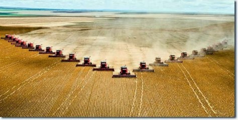 corporate-global-farms