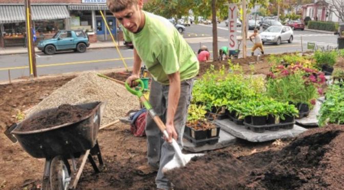 Local Harmony creates public space