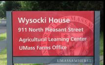 Wysocki Sign 1 edt_0