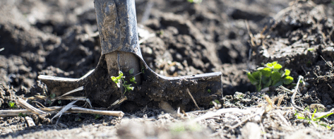 shovel_interior_stripe